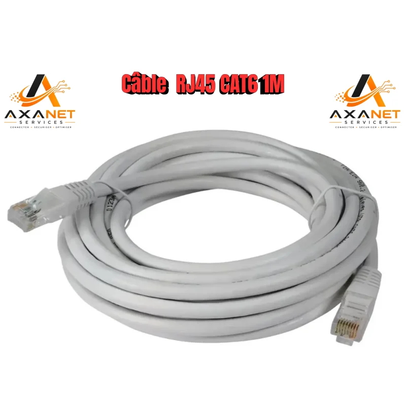 Câble Réseau Ethernet RJ45 CAT6 – 1 mètres